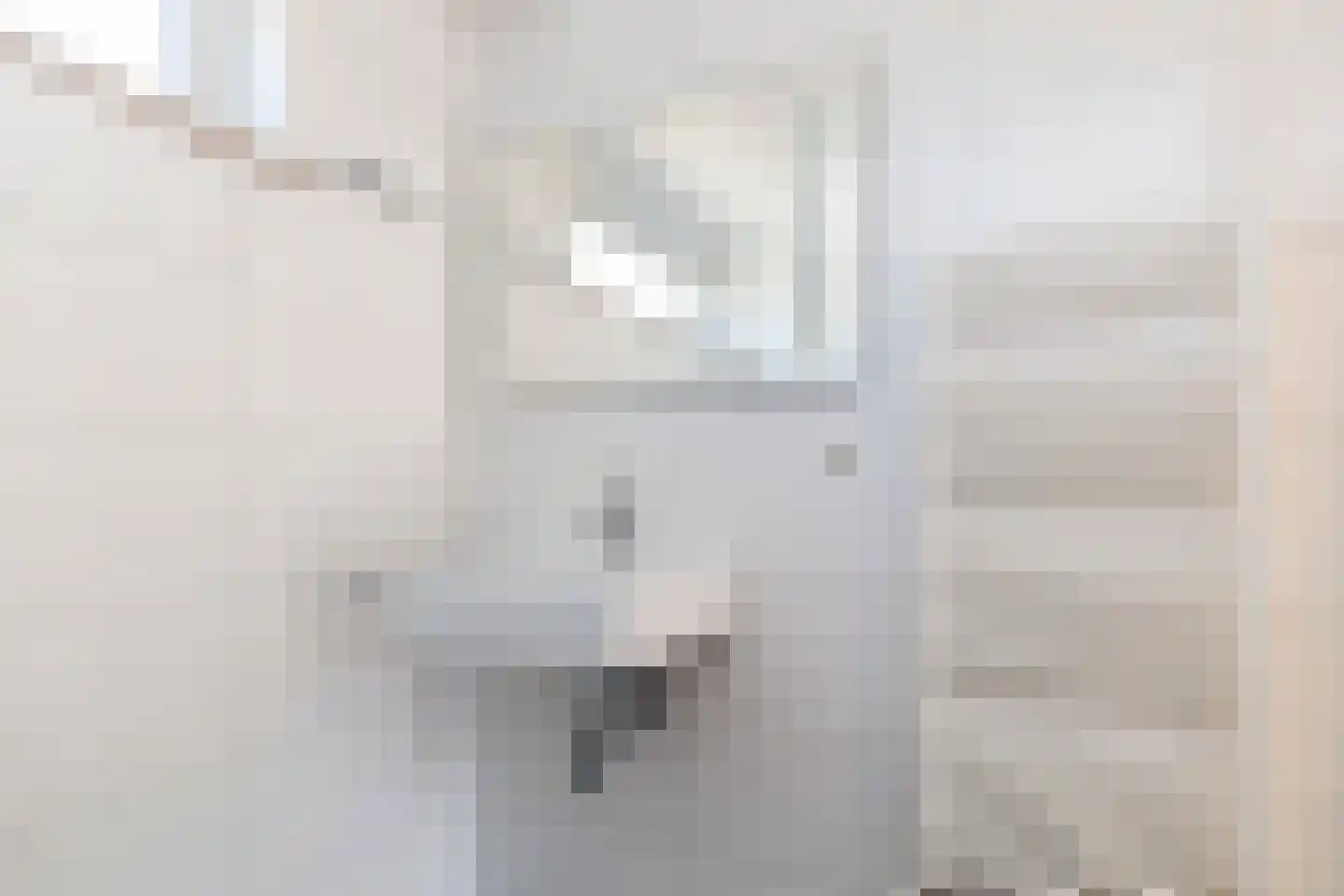Meidoornstraat 13 Schipluiden thumbnail 29