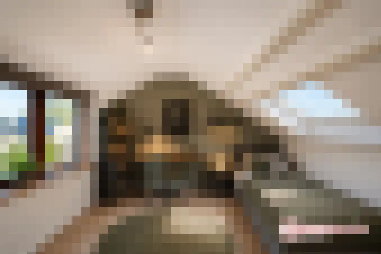 Meidoornstraat 13 Schipluiden thumbnail 33