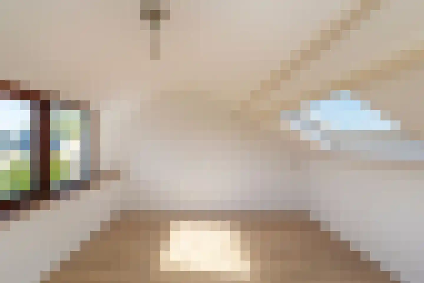 Meidoornstraat 13 Schipluiden thumbnail 34