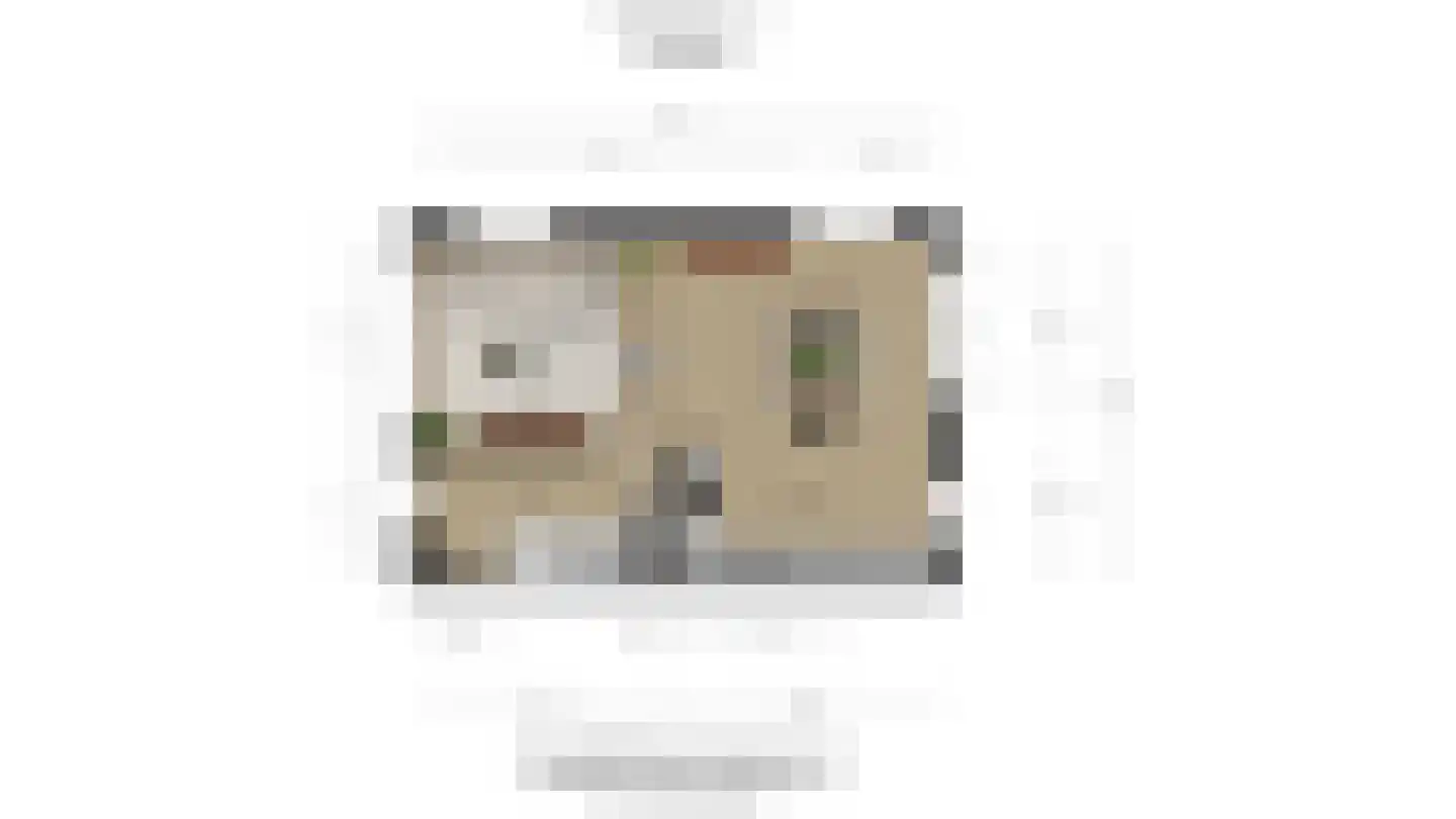 Meidoornstraat 13 Schipluiden thumbnail 43