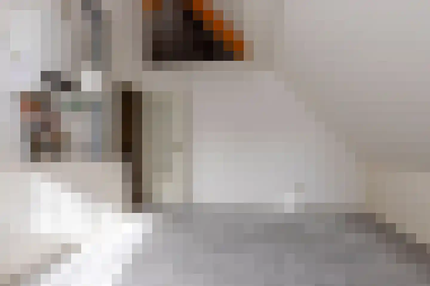 Meidoornstraat 13 Steenwijk thumbnail 27