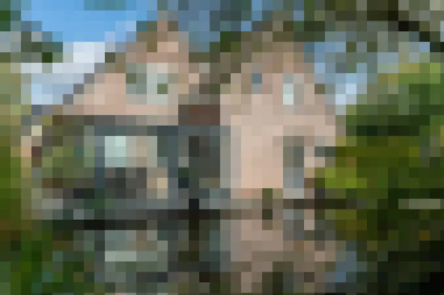 Meidoornstraat 13 Steenwijk thumbnail 4