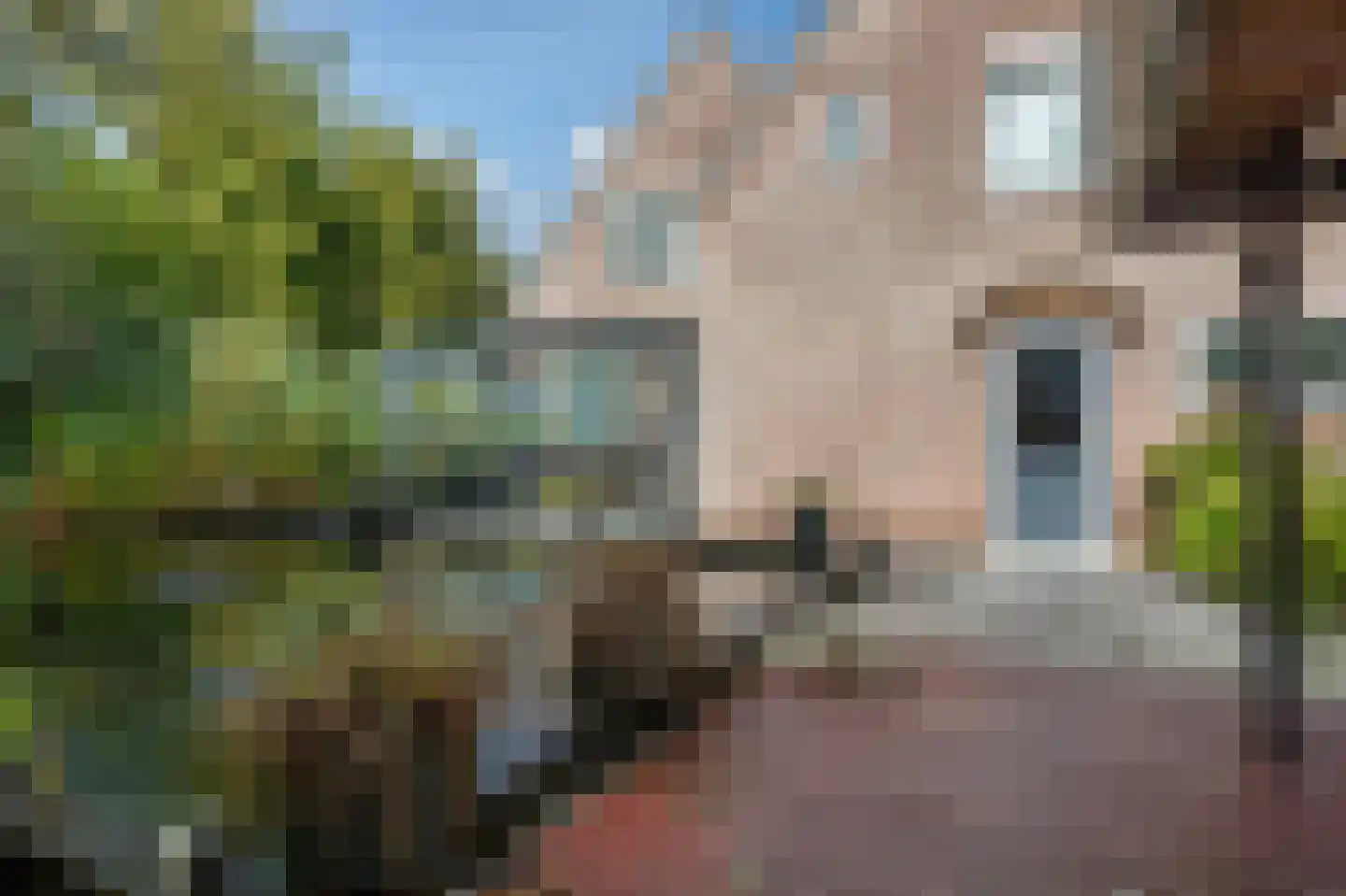 Meidoornstraat 13 Steenwijk thumbnail 43