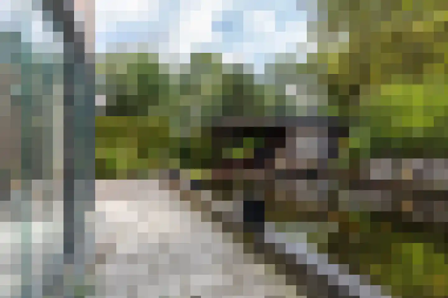 Meidoornstraat 13 Steenwijk thumbnail 47