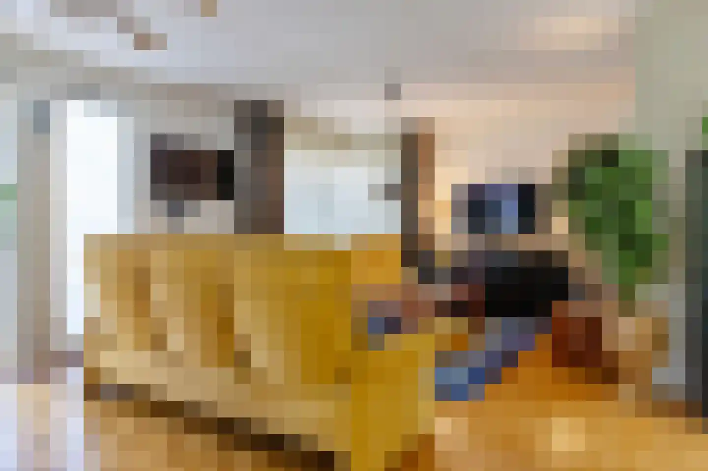 Meidoornstraat 13 Steenwijk thumbnail 7