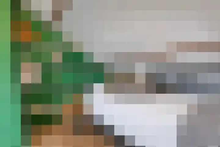 Meidoornstraat 132 Zaandam thumbnail 31