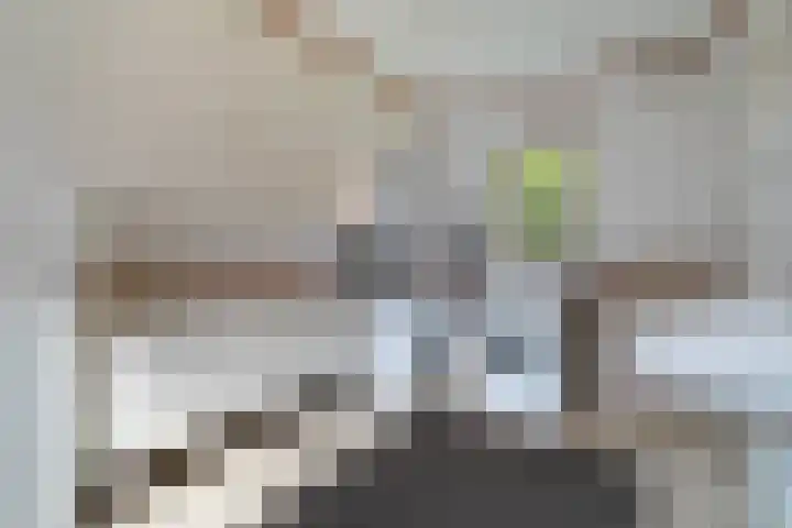 Meidoornstraat 14 Bentelo thumbnail 18