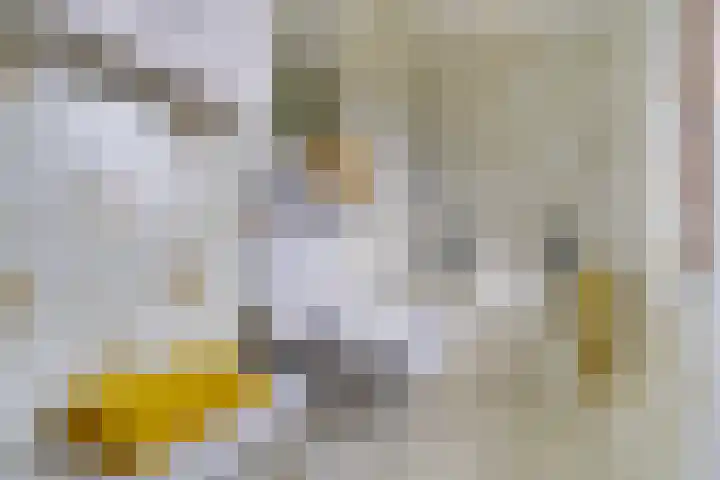 Meidoornstraat 14 Bentelo thumbnail 32
