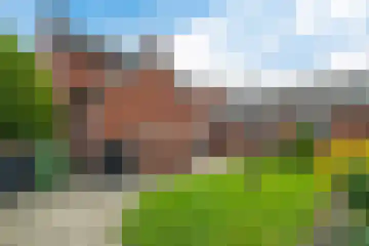 Meidoornstraat 14 Bentelo thumbnail 36