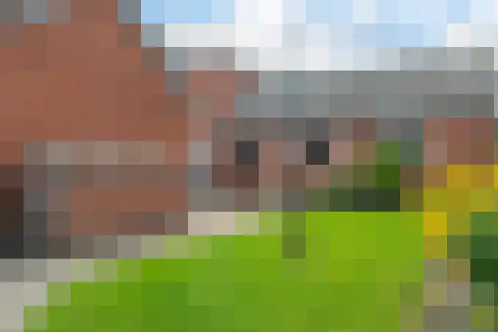 Meidoornstraat 14 Bentelo thumbnail 37