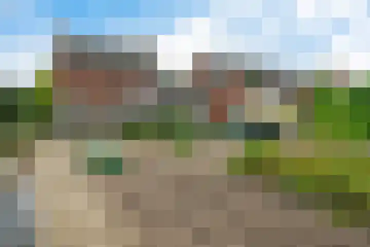 Meidoornstraat 14 Bentelo thumbnail 40