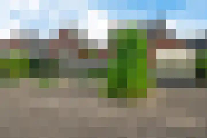 Meidoornstraat 14 Bentelo thumbnail 41