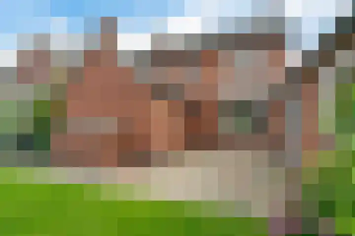 Meidoornstraat 14 Bentelo thumbnail 6