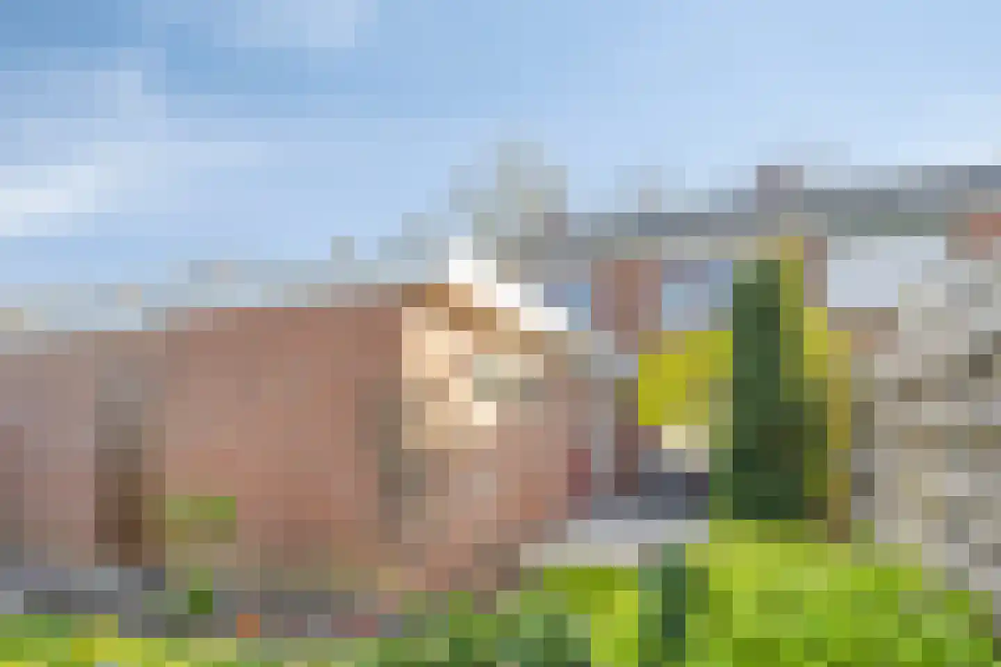 Meidoornstraat 14 Lichtenvoorde thumbnail 33