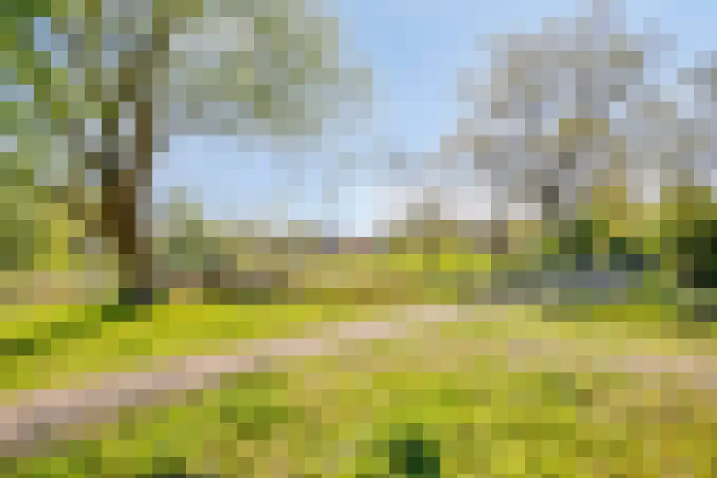 Meidoornstraat 14 Lichtenvoorde thumbnail 4