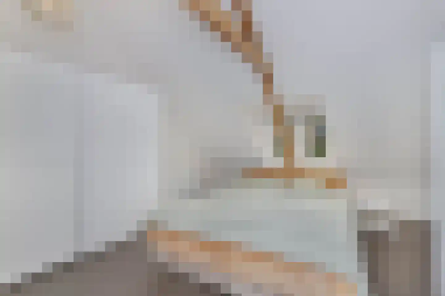 Meidoornstraat 14 Utrecht thumbnail 19