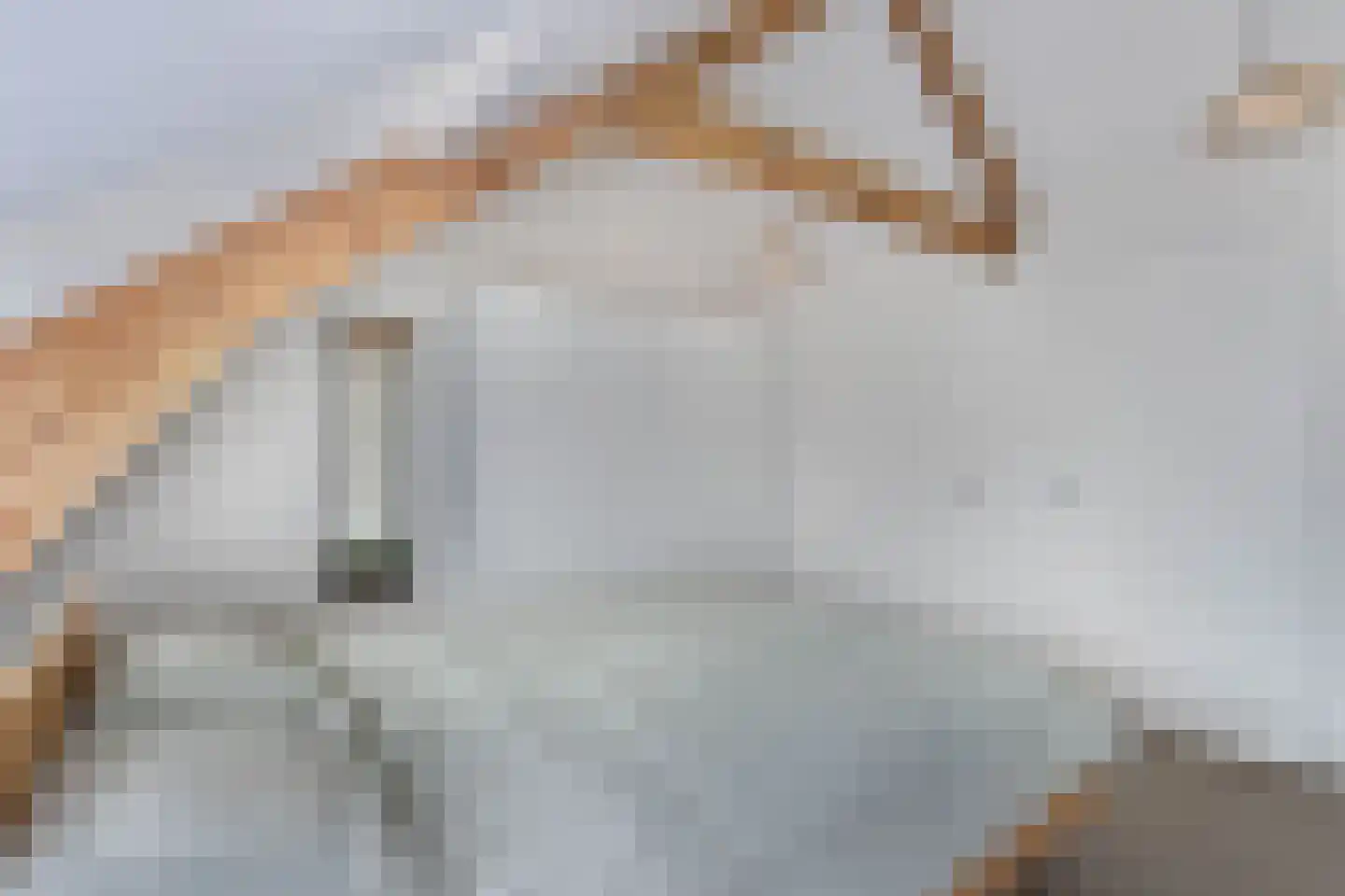 Meidoornstraat 14 Utrecht thumbnail 20