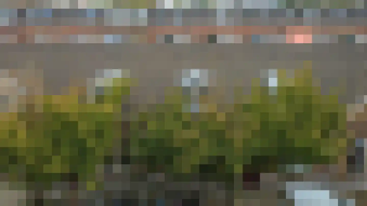 Meidoornstraat 14 Utrecht thumbnail 28