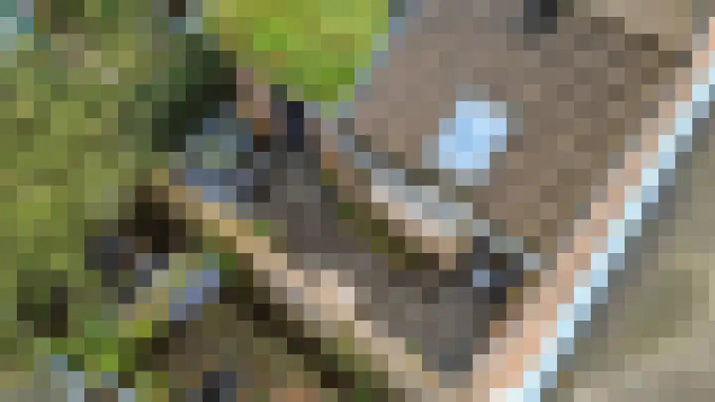 Meidoornstraat 14 Utrecht thumbnail 31