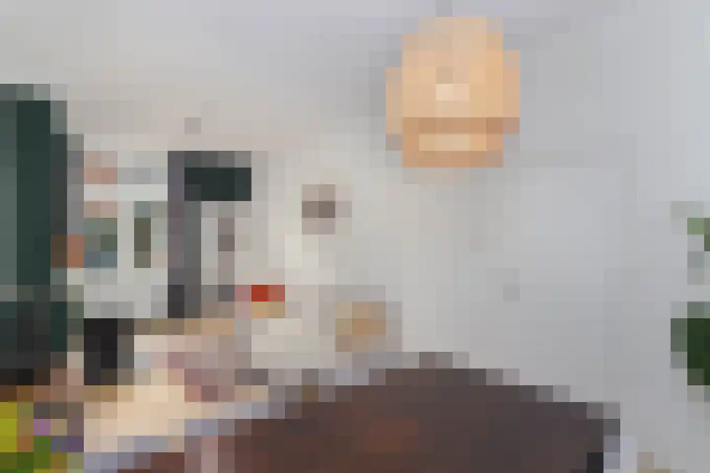 Meidoornstraat 14 Utrecht thumbnail 5