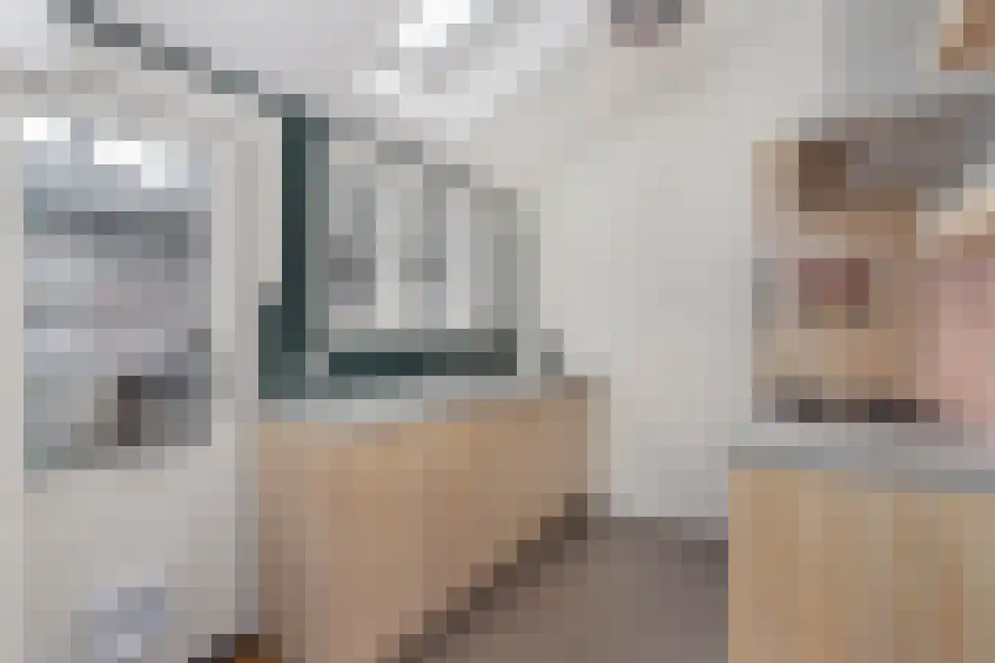 Meidoornstraat 14 Utrecht thumbnail 9