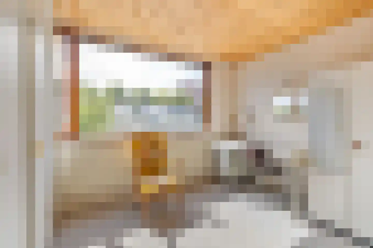 Meidoornstraat 141 Breda thumbnail 37