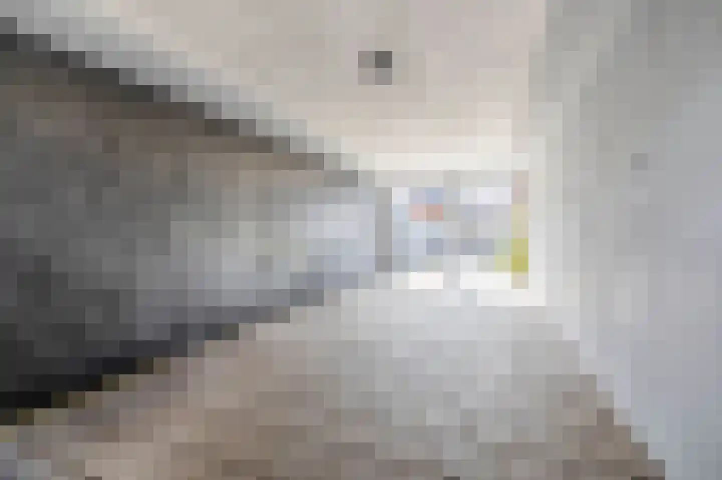 Meidoornstraat 15 Brakel thumbnail 15
