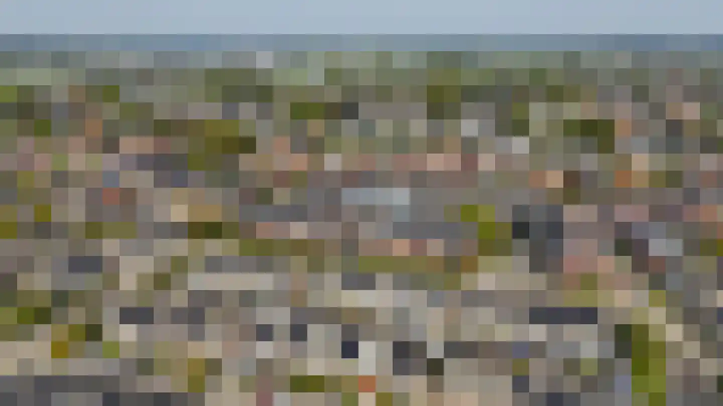Meidoornstraat 15 Brakel thumbnail 4
