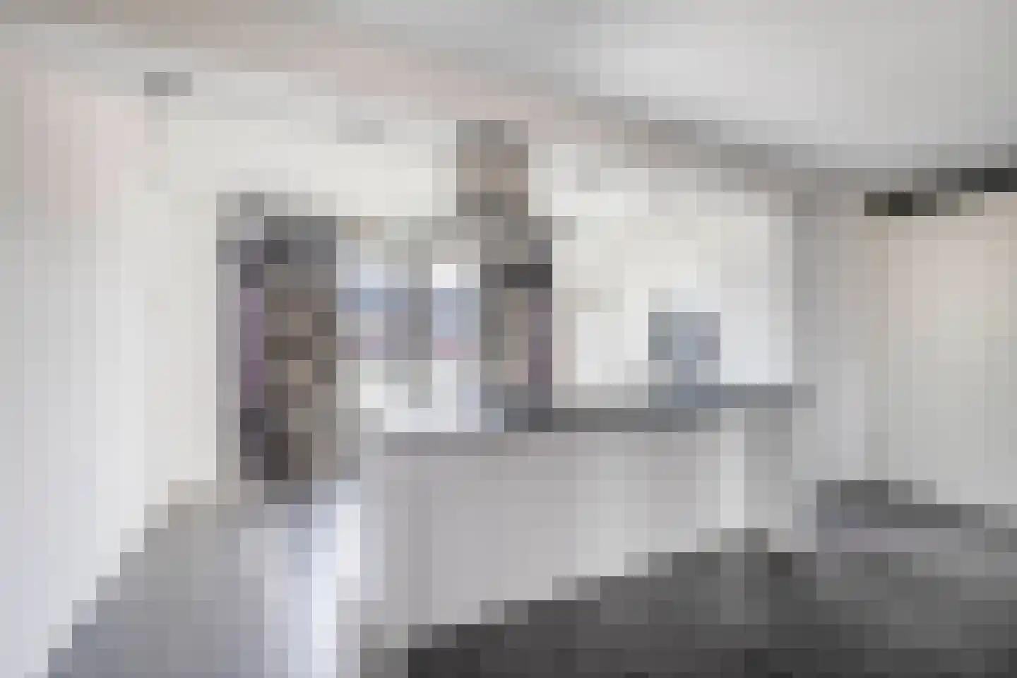 Meidoornstraat 15 Brakel thumbnail 8