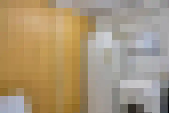 Meidoornstraat 15 Maasbree thumbnail 20