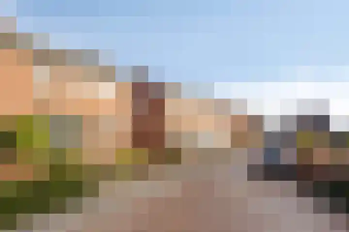 Meidoornstraat 15 Maasbree thumbnail 37