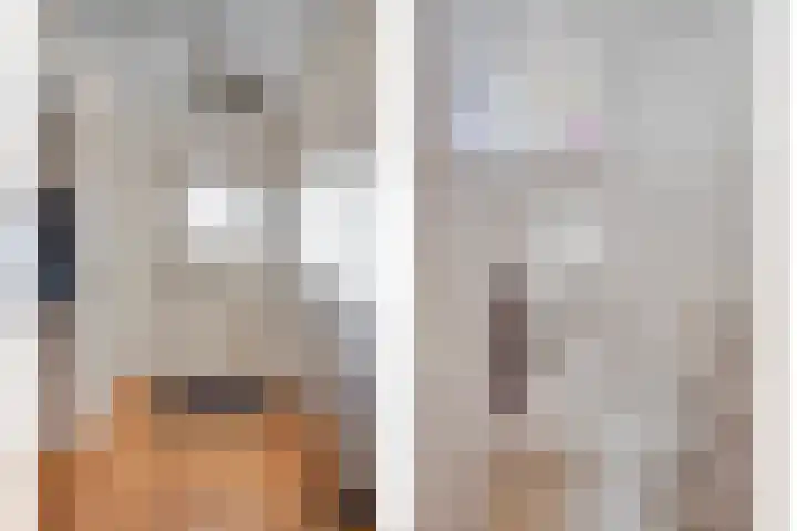 Meidoornstraat 15 Maasbree thumbnail 6