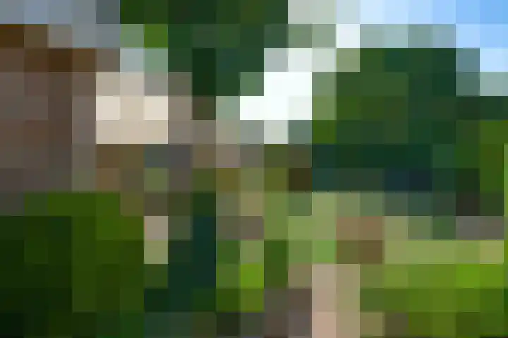 Meidoornstraat 15 Nederweert thumbnail 32
