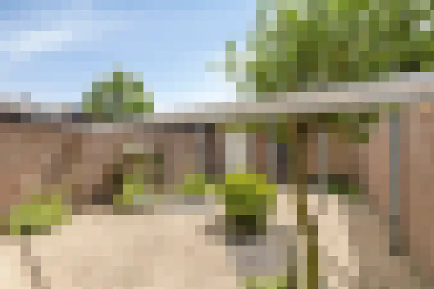 Meidoornstraat 16 Best thumbnail 24