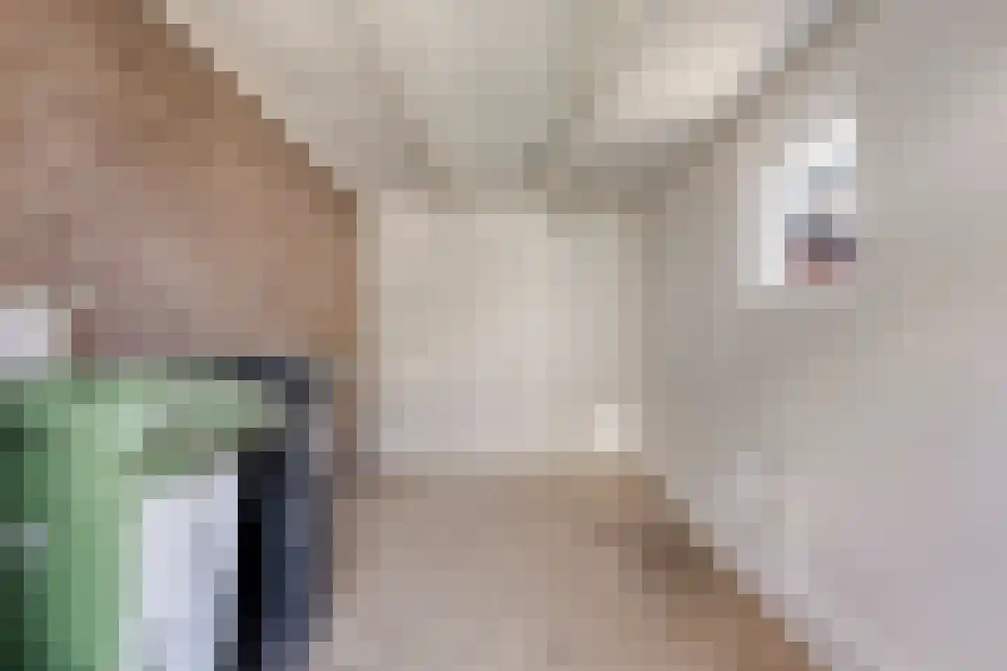 Meidoornstraat 16 Best thumbnail 25