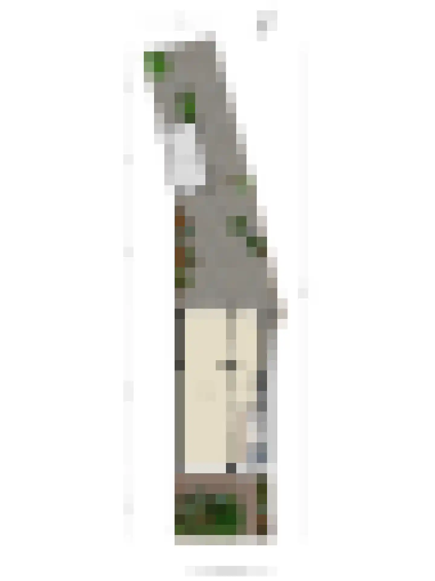 Meidoornstraat 16 Best thumbnail 31