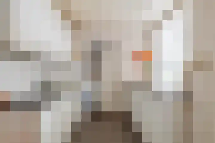 Meidoornstraat 16 Deest thumbnail 11