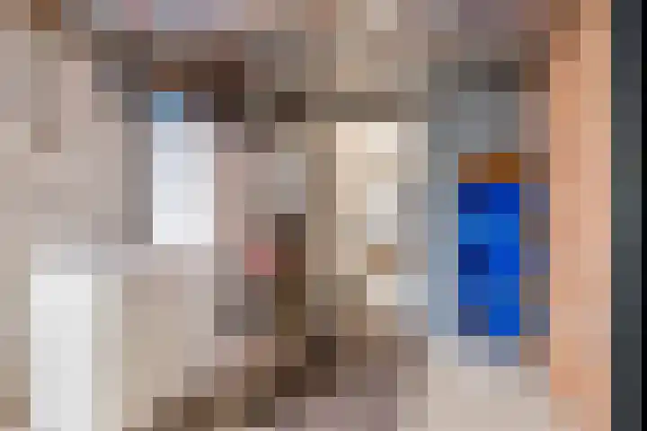 Meidoornstraat 16 Deest thumbnail 12