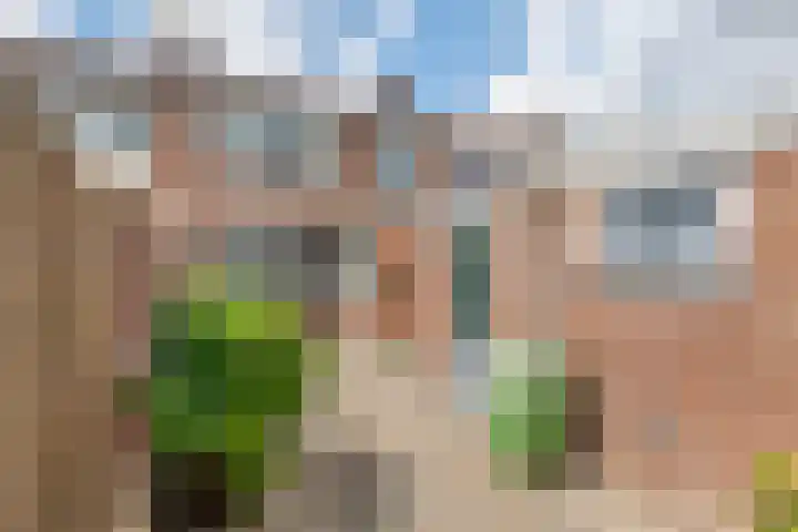 Meidoornstraat 16 Deest thumbnail 28