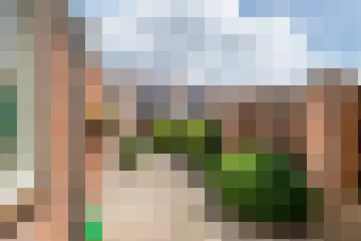 Meidoornstraat 16 Deest thumbnail 29