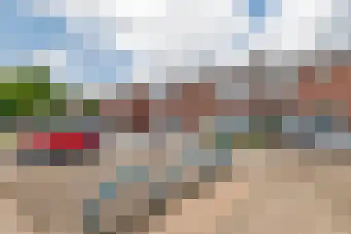 Meidoornstraat 16 Deest thumbnail 32