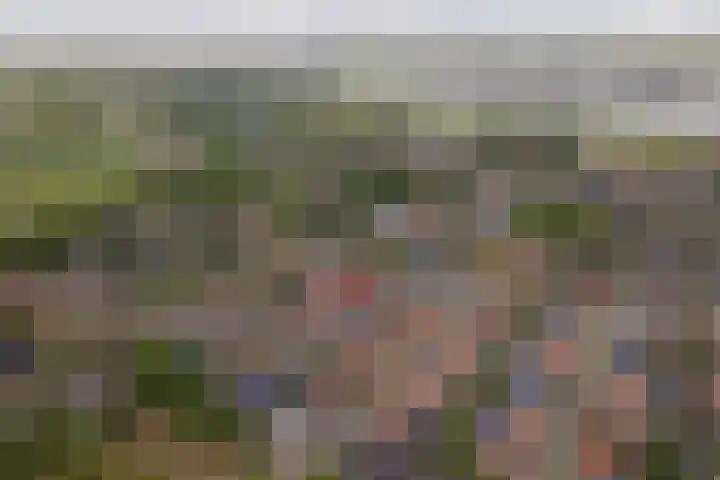 Meidoornstraat 16 Deest thumbnail 34