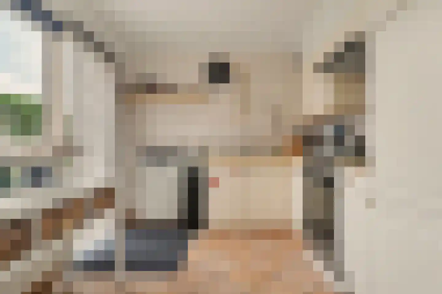 Meidoornstraat 16 Nieuwerkerk thumbnail 11