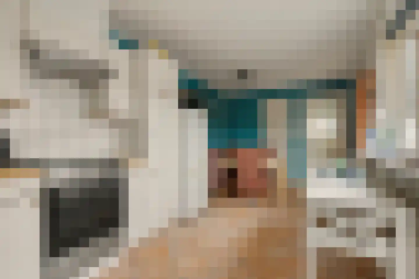 Meidoornstraat 16 Nieuwerkerk thumbnail 12