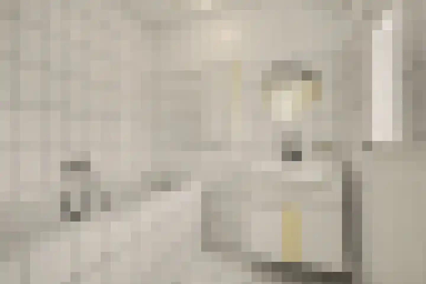 Meidoornstraat 16 Nieuwerkerk thumbnail 19