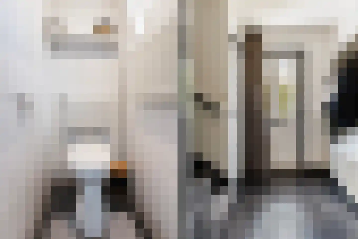 Meidoornstraat 17 Eibergen thumbnail 8