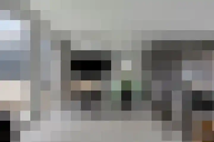 Meidoornstraat 17 Leiderdorp thumbnail 11