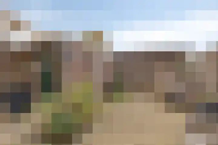 Meidoornstraat 17 Leiderdorp thumbnail 18