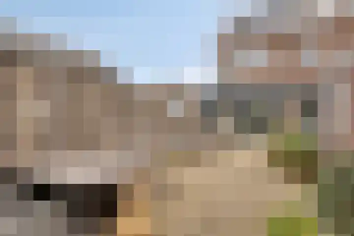 Meidoornstraat 17 Leiderdorp thumbnail 19