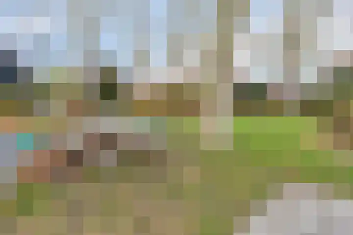 Meidoornstraat 17 Leiderdorp thumbnail 31